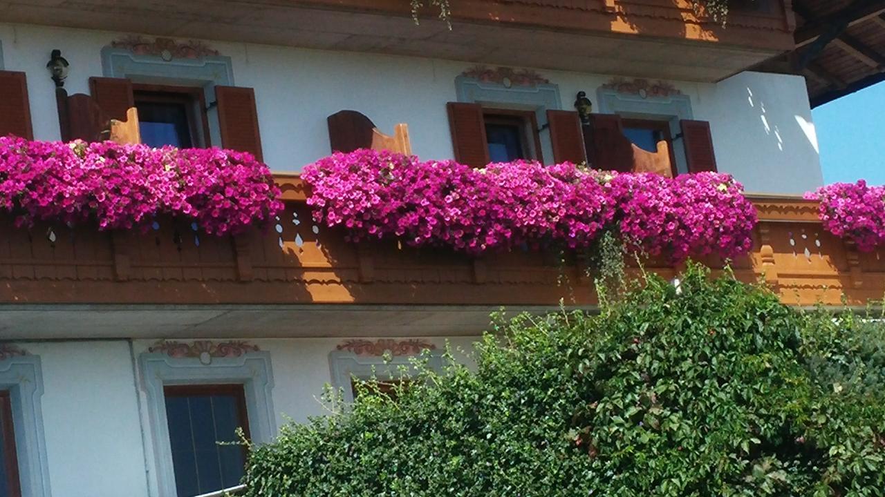 Residence Condor Маранца Екстериор снимка